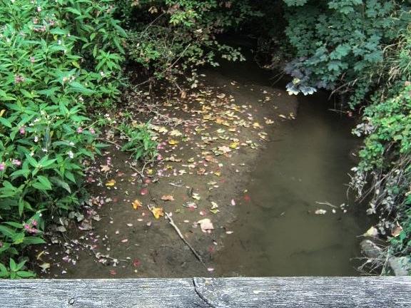 Bachlauf in der Region bei Niedrigwasser